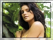 Ashley Greene, Twarz, Brunetka