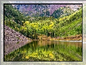 Jezioro Maroon Lake, Kolorado, Stany Zjednoczone, Zbocza, Góry, Drzewa, Aspen