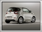 Aston Martin Cygnet, Hatchback