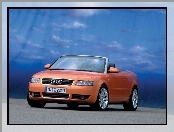 Audi A4, B6, Cabrio