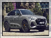 Audi e-Tron S Black Edition