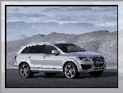 Audi Q7, Chromowane, Alufelgi