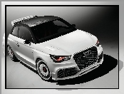 Audi A1 Clubsport, Maska