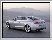 Audi A5, Coupe, Wydech