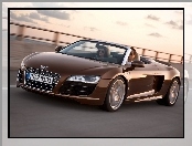 Audi R8 Spyder, Maska, Drzwi