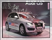 Audi Q5, Marathon, Mileage