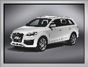 Audi Q7, Dachowe, Relingi