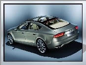 Audi A7, Szklany, Dach
