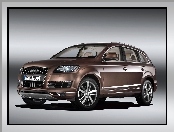 Audi Q7, Wielki, Grill