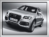 Audi Q5, Zderzak, Maska