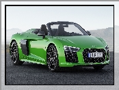 Zielone, Audi R8 Spyder V10 Plus, 2017