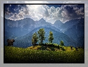Góry, Austria, Chmury, HDR, Las, Łąka, Przebijające, Światło