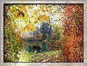 Ławka, Staw, Park, Jesień, Drzewa, Ścieżka