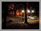 Ławka, Park, Jesień, Noc, Drzewa, Latarnie