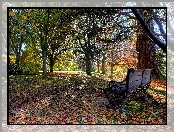 Park, Ławka, Jesień