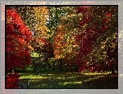 Park, Ławka, Jesień