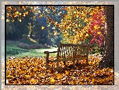 Ławka, Park, Jesień, Liście, Kolorowe, Drzewa, Światło
