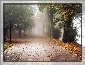 Ławki, Chodnik, Park, Mgła, Drzewa, Liście