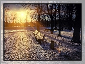 Ławki, Zima, Park, Słońca, Staw, Promienie