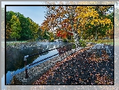 Jesień, Ławki, Staw, Park, Liście, Mostek, Stół