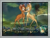 jelonki, Bambi 2