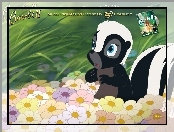 skunks, Bambi 2