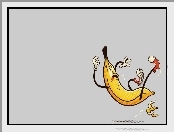 Banan, Skórka