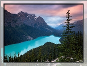 Jezioro Peyto Lake, Park Narodowy Banff, Kanada, Chmury, Góry Canadian Rockies, Las