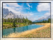 Góry, Alberta, Kanada, Rzeka, Las, Chmury, Park Narodowy Banff