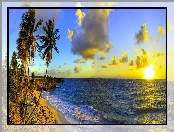 Barbados, Morze, Chmury, Palmy, Zachód Słońca