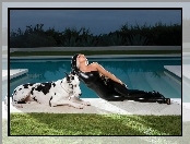 Basen, Lady, Gaga, Pies, Dog