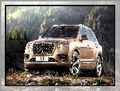 Bentley Bentayga, Przodem