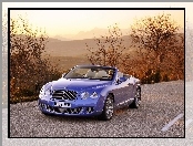 Bentley Continental GTC, Jasne, Skóry