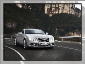 Bentley Continental GT, Kontrola, Trakcji