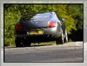 Bentley Continental GT, Profil, Opon