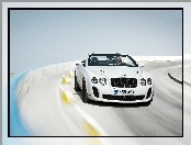 Bentley Continental Supersports, Grafika