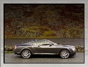 Bentley Continental GT, Tarcze, Hamulcowe
