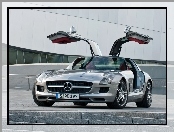 Mercedes Benz SLS