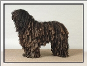 Bergamasco