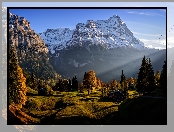 Szwajcaria, Drzewa, Domy, Kanton Berno, Wieś Grindelwald, Góry, Alpy Berneńskie