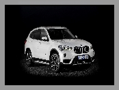 Białe, BMW X1 xDrive25i F48, 2015