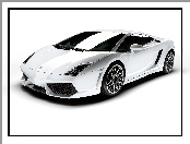 Białe, Lamborghini Gallardo, Maska