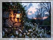 Mur, Białe, Kwiaty, Latarnia, Drzewa