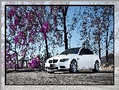 Białe, Bmw M3 Coupe