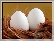 Piórka, Białe, Jajeczka