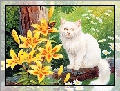 Biały, Lilie, Kot, Żółte