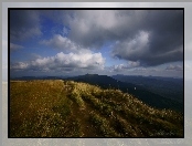 Bieszczady, Chmury, Góry, Trawa
