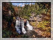 Blackwater Falls, Wirginia, Rośliny, Skały, Rzeka Blackwater, Stany Zjednoczone, Drzewa, Wodospad