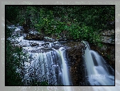 Skały, Blackwater Falls, Roślinność, Wodospad, Park Stanowy Blackwater Falls, Wirginia Zachodnia, Stany Zjednoczone, Kaskada, Drzewa