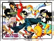 Bleach, napis, ludzie, lew